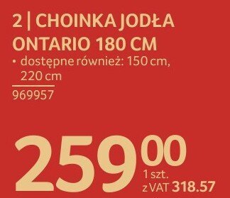 Choinka jodła Ontario 180 cm promocja w Selgros