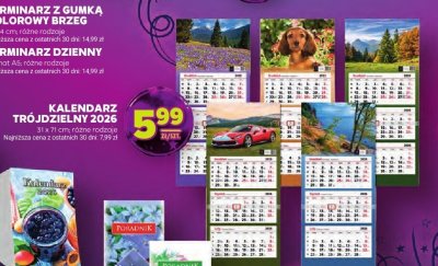 Terminarz z gumką kolorowy brzeg, 9 x 14 cm, różne rodzaje promocja w Stokrotka