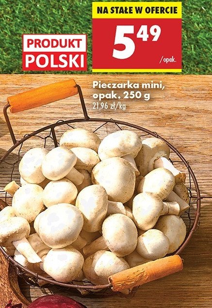 Pieczarki mini promocja