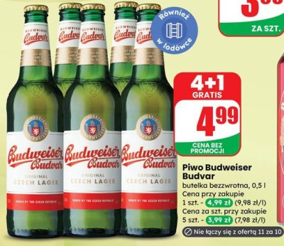 Piwo Budweiser Budvar promocja w Dino