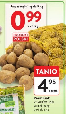 Ziemniak Z SADÓW I PÓL worek promocja w Intermarche