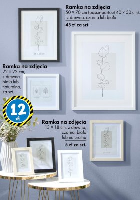 Ramka na zdjęcia 50 × 70 cm (passe-partout 40 × 50 cm) z drewna czarna lub biała promocja w Tedi