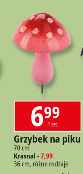 Grzybek na piku 70 cm promocja w Leclerc