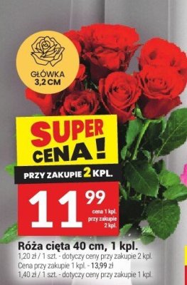 Róża cięta 40 cm, 1 kpl. promocja w Twój Market