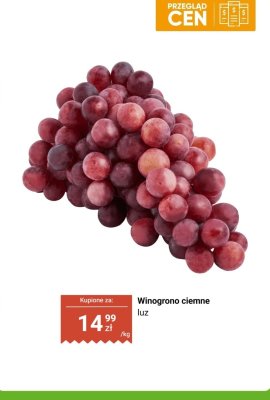 Winogrono ciemne luz promocja w Dino