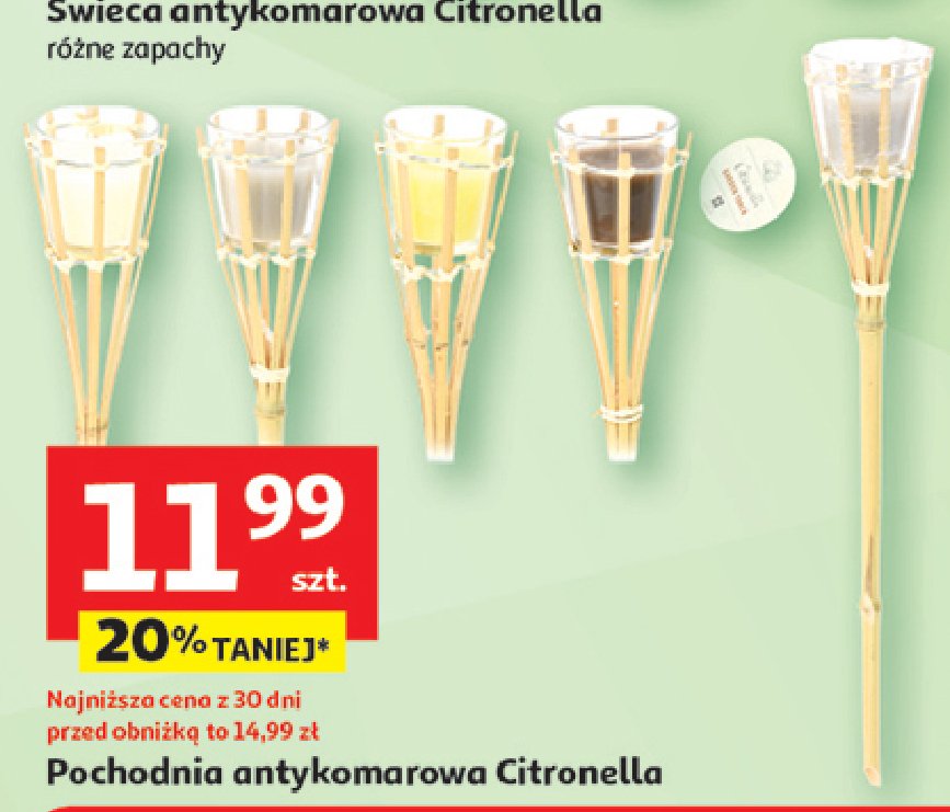 Pochodnia antykomorowa citronella promocja w Auchan