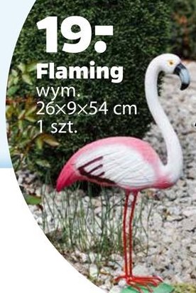 Flaming 26 x 9 x 54 cm promocja