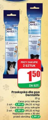 Przekąska dla psa Dentalife promocja w Dino