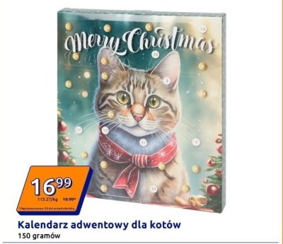 Kalendarz adwentowy dla kotów promocja w Action