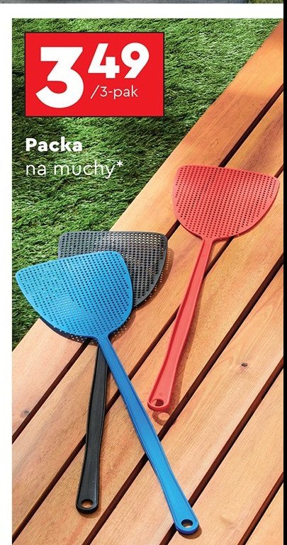 Packa na muchy promocja w Biedronka