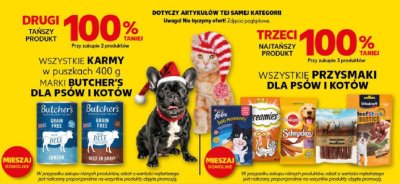 Mocny Start, strona 19 promocja w Kaufland