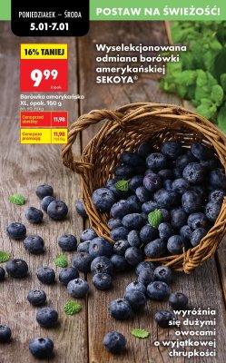 Borówka amerykańska XL SEKOYA, opak. 150 g promocja w Biedronka
