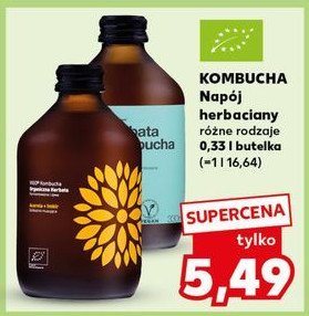 Kombucha z imbirem i acerolą Vigo kombucha promocja