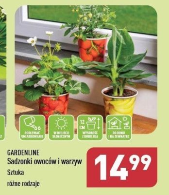 Sadzonka warzyw GARDEN LINE promocja