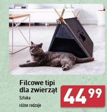 Tipi filcowe promocja