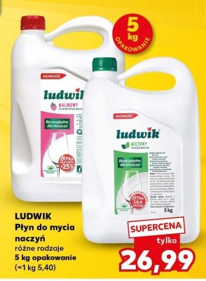 Płyn do mycia naczyń różne rodzaje promocja w Kaufland