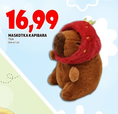 Maskotka promocja w TOPAZ