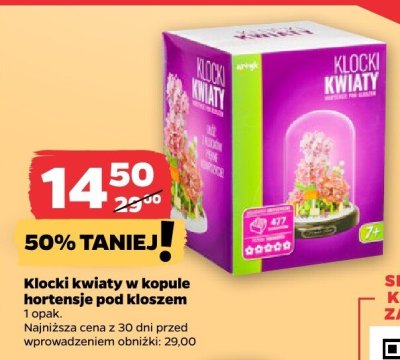Klocki kwiaty w kopule hortensje pod kloszem promocja w Netto