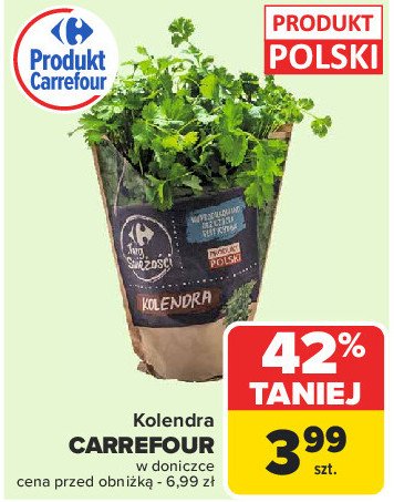 Koldendra Carrefour promocja w Carrefour Market