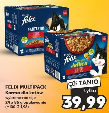 Karma dla kota wiejskie smaki Purina felix fantastic promocja