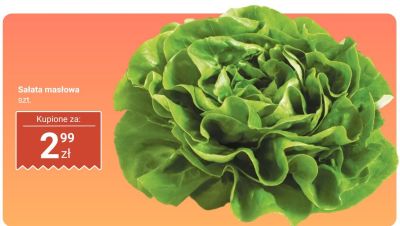 Sałata promocja w Dino