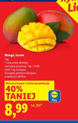 Mango, luzem promocja w Lidl