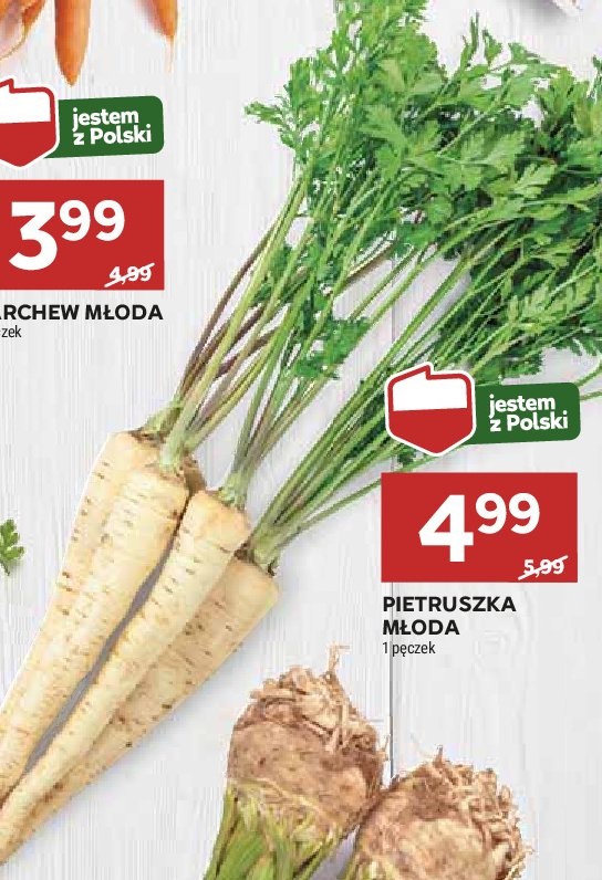 Pietruszka młoda pęczek promocja