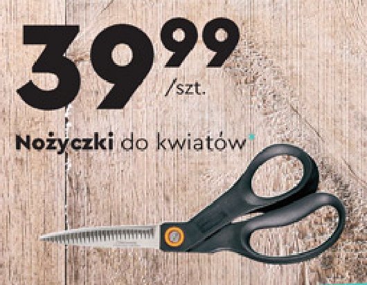 Nożyczki do kwiatów promocja