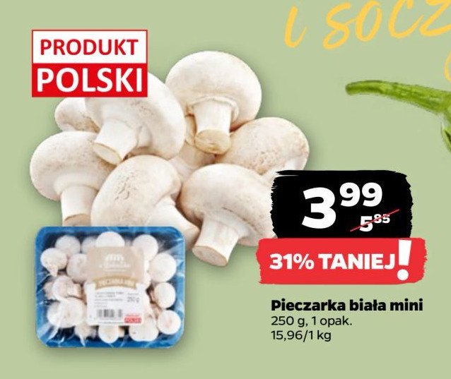 Pieczarki mini polska promocja