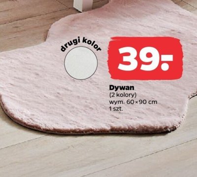 Dywan 60x90 cm promocja w Netto