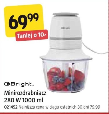 Minirozdrabniacz Bright 280 W 1000 ml promocja w Jula