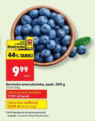 Borówka amerykańska promocja w Biedronka