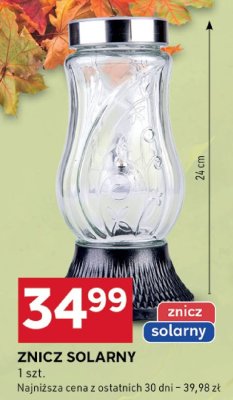 ZNICZ SOLARNY promocja w Stokrotka