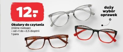Okulary do czytania, różne rodzaje promocja w Netto