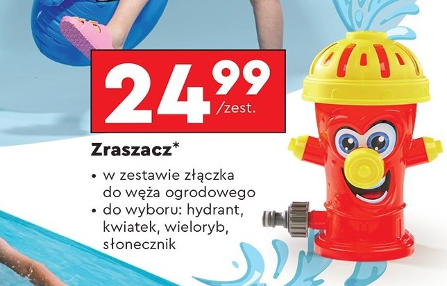 Zraszacz hydrant promocja w Biedronka