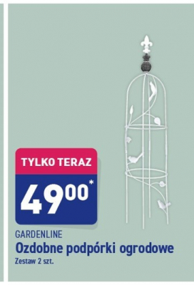 Podpora ogrodowa do kwiatów promocja