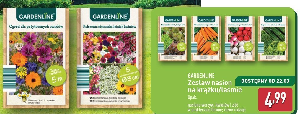 Nasiona marchewki GARDEN LINE promocja w Aldi