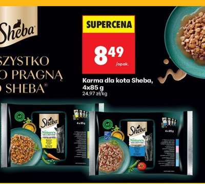 Karma dla kota smaki drobiowe w galaretce Sheba delicacy in jelly promocja w Biedronka