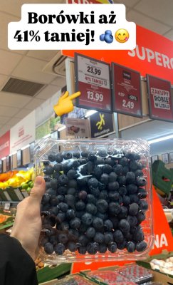 Borówki amerykańskie promocja w Lidl