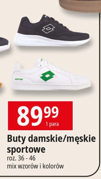 Buty damskie 36-46 Lotto promocja w Selgros