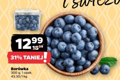 Bor贸wka ameryka艅ska chile promocja w Netto