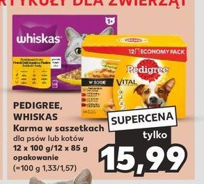 Wybór dań drobiowych w galaretce Whiskas promocja