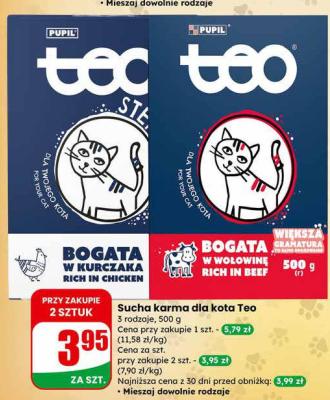 Sucha karma dla kota Teo promocja w Dino