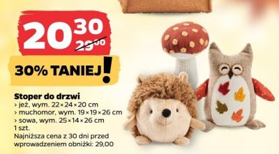Stoper do drzwi promocja w Netto