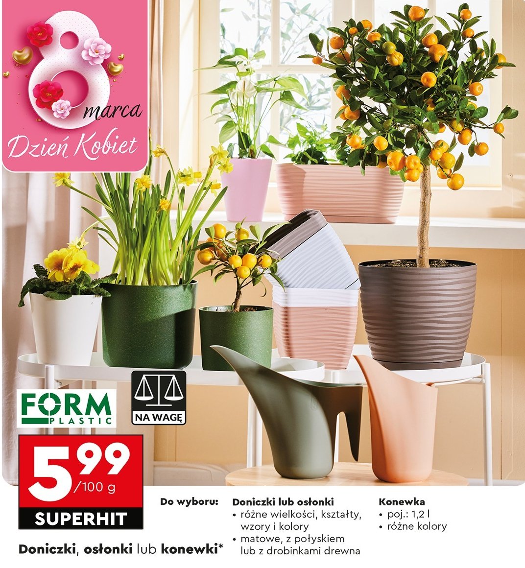 Konewki Form-plastic promocja w Biedronka