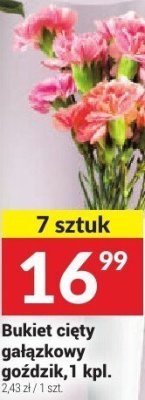 Bukiet cięty gałązkowy goździk promocja w Twój Market