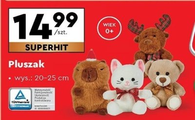 Pluszak wys. 20-25 cm różne rodzaje promocja w Biedronka