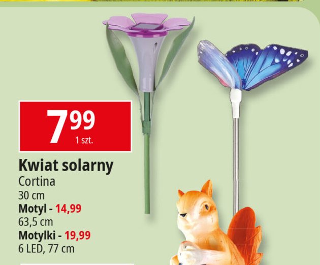 Motyl solarny na piku Cortina promocja w Leclerc