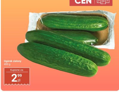 Ogórek zielony 400 g promocja w Dino
