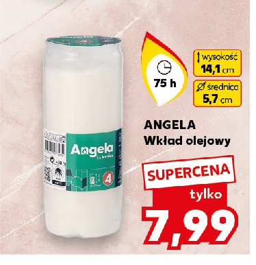 Wkład olejowy 4d Bolsius promocja